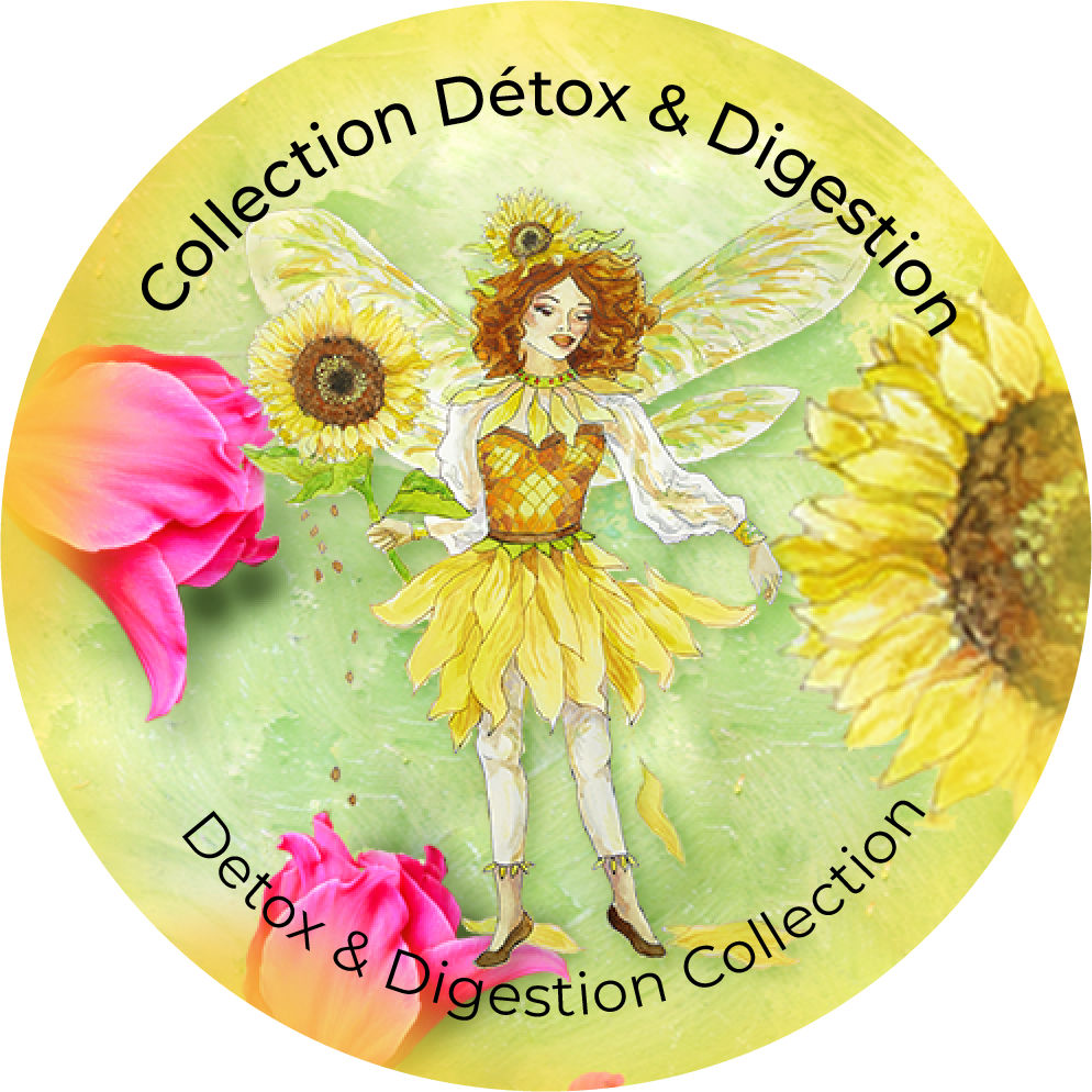 Collection Détox & Digestion