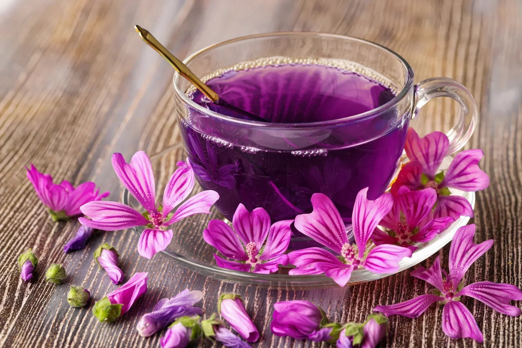 Benefits of wild mallow & blueberry: Anti-inflammatory & antioxidant - Les thés FloralTea