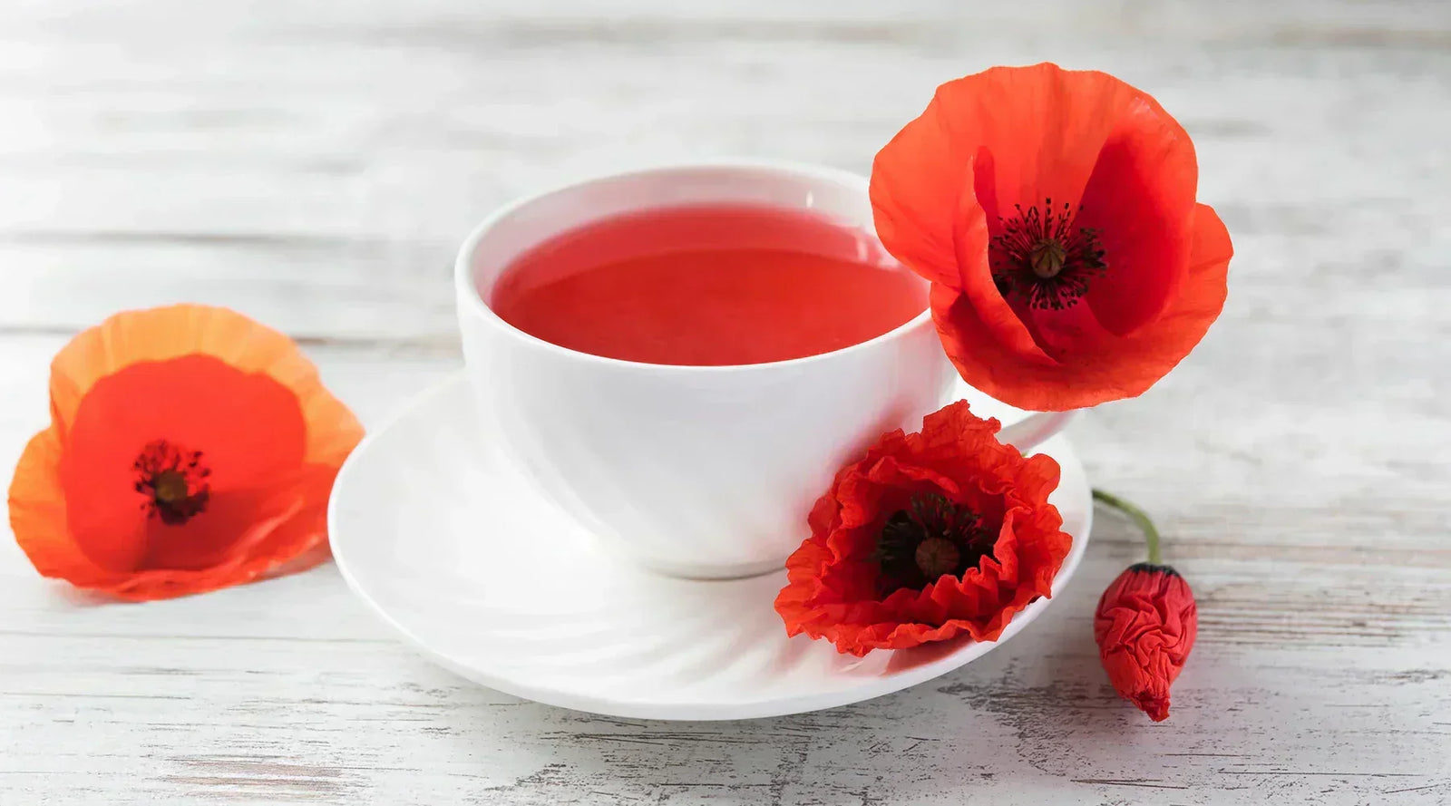 Tisane Pavot - Bienfaits santé