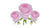 Tisane de Rose - Bienfaits santé | Soins de la peau et des Humeurs