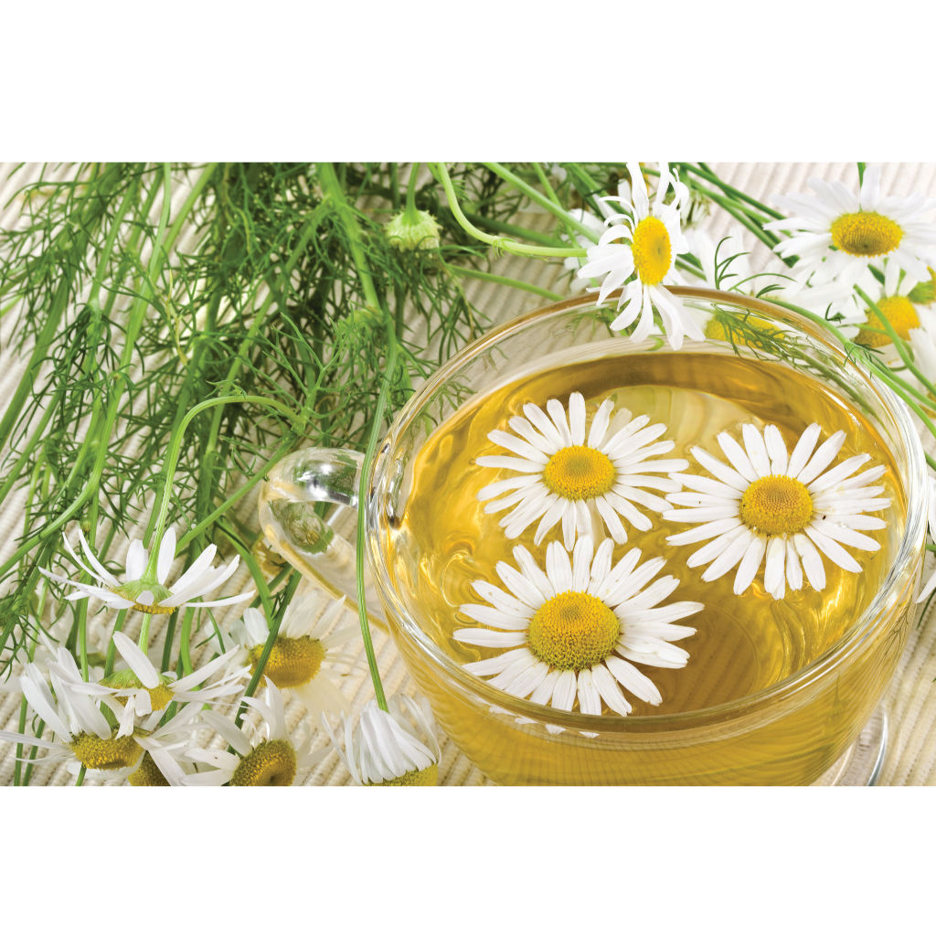 Infusion colorée naturellement de tisane de camomille de Les thés FloralTea gourmet et santé fait à la main au Québec avec des plantes médicinales digestives et calmantes, prédisposant au sommeil. Végétalien, ingrédients naturels, biologiques ou sauvages, vrac ou sachet compostable.