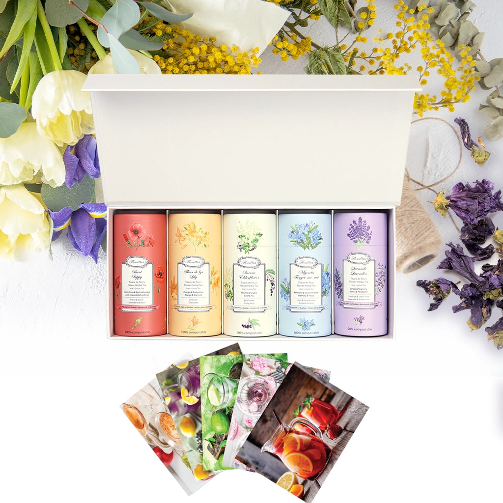 Coffret de 5 tubes de tisanes en vrac à choisir parmi 13 mélanges+cartes de recettes assorties