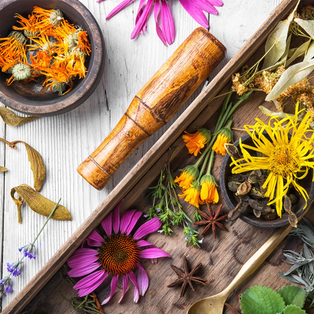 Propiedades del té floral serenidad ☕️ El té floral serenidad incorpora  poderosas plantas, flores y raíces medicinales.💚🍃 ⠀ Sus componentes  son, By MyTea El Salvador