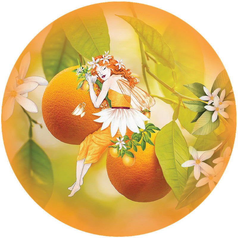 Sleep & Stress Collection Sommeil & Stress