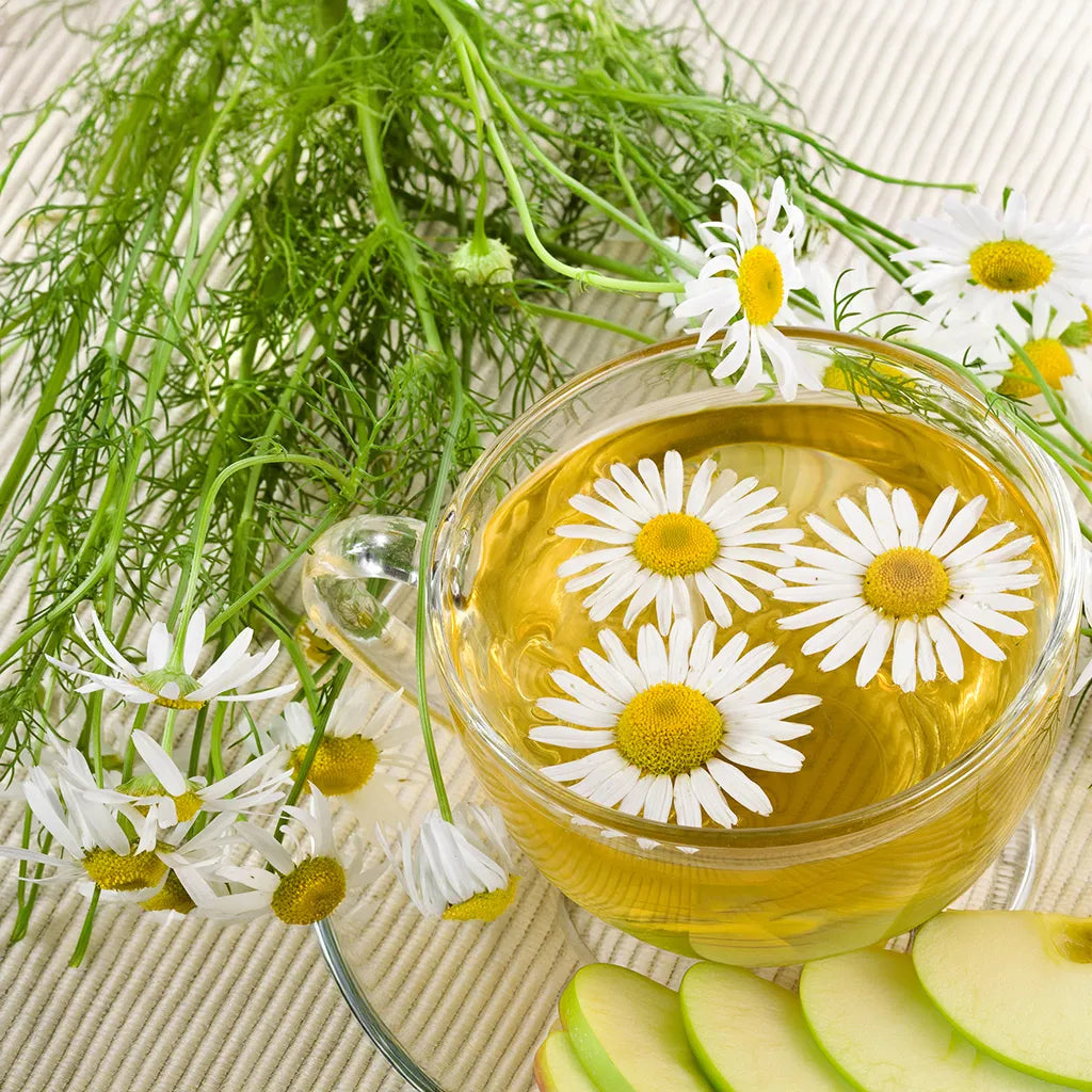 Tasse d'infusion de tisane de camomille - Cup of chamomille tea infusion - FloraTea