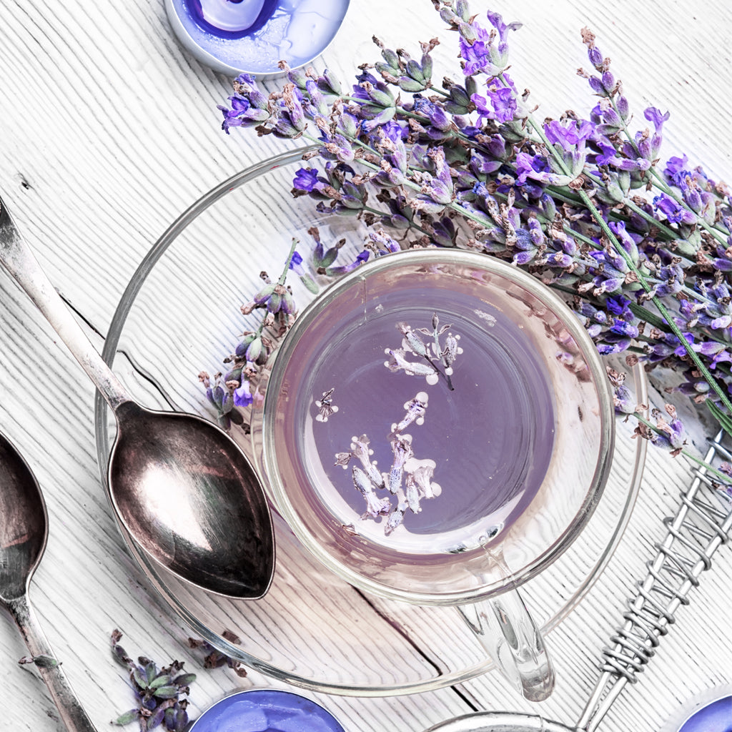 Tasse d'infusion de tisane de lavande - Cup of lavender tea infusion - FloraTea