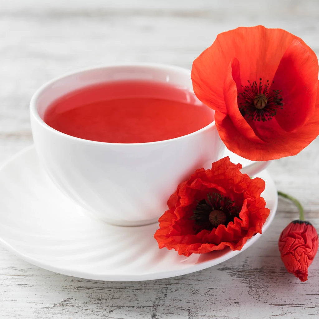 Tasse d'infusion de tisane de pavot - Cup of poppy herbal tea infusion - FloraTea