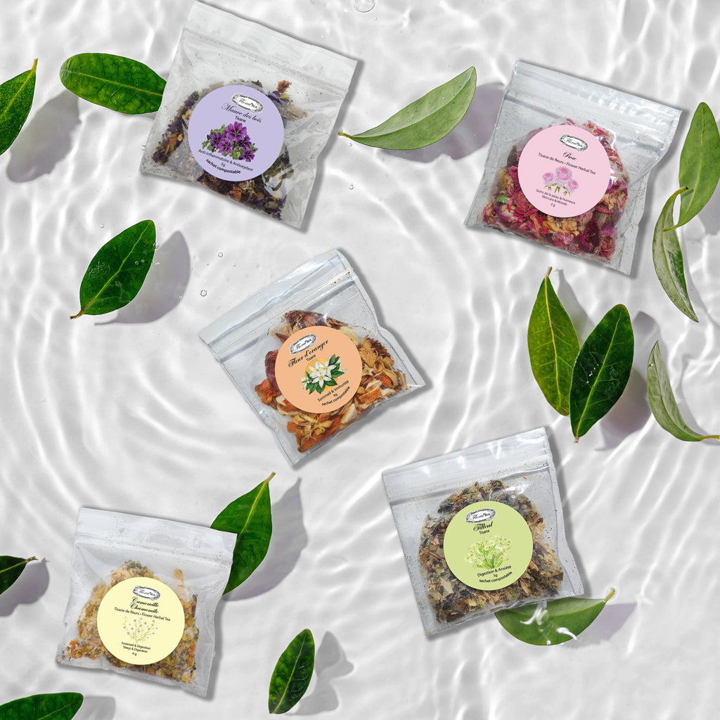 Discovery Set - 5 best sellers