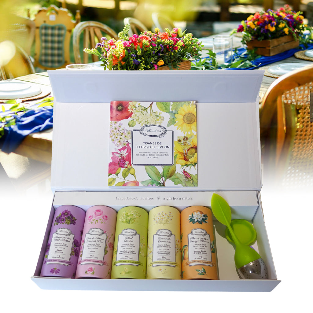 Les thés FloralTea - coffret de 5 tubes de tisanes en vrac selection meilleurs vendeurs + 1 infuseur au choix