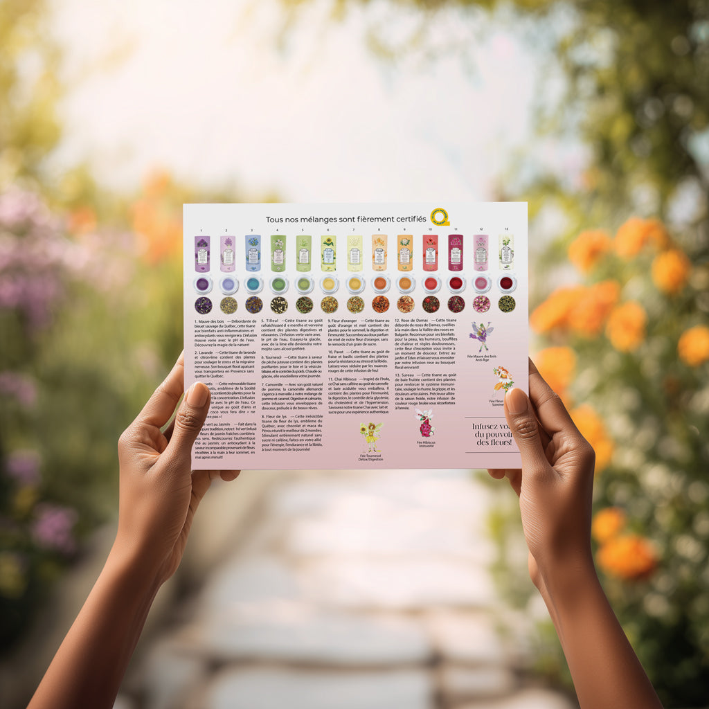 Toutes les tisanes FloralTea réunies sur une seule page : 12 infusions florales naturelles, aux couleurs vivantes et aux bienfaits délicats. Une porte d’entrée sensorielle dans l’univers FloralTea.